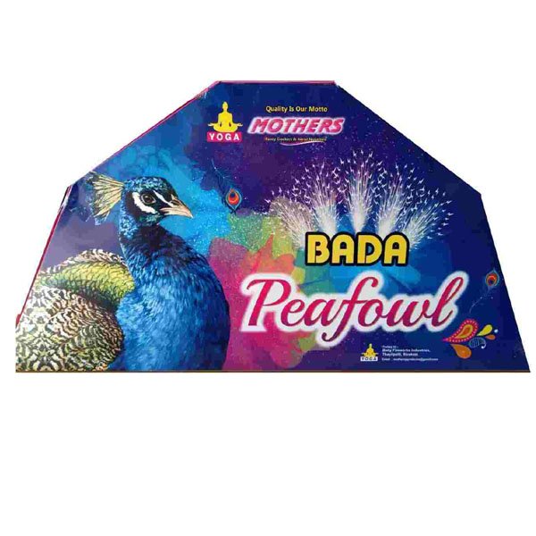 BADA PEACOCK 5 FEATHERS